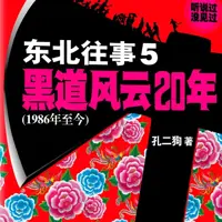 东北往事,黑道风云20年